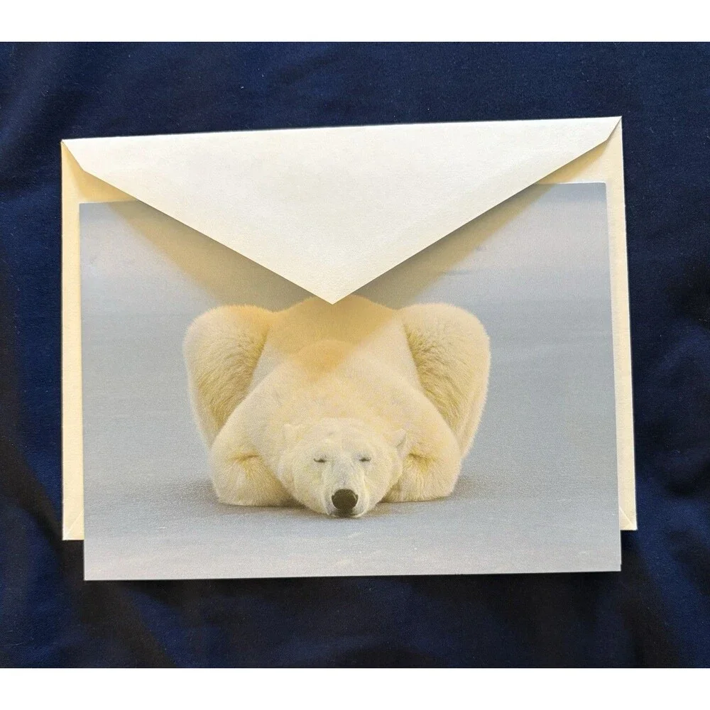 Generic Card with White Envelope and Blank Interior | Polar Bear design by EDF